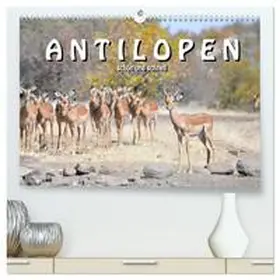 CALVENDO / STYPPA |  Antilopen, schön und schnell (hochwertiger Premium Wandkalender 2025 DIN A2 quer), Kunstdruck in Hochglanz | Sonstiges |  Sack Fachmedien