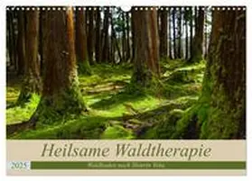 CALVENDO / Webeler |  Heilsame Waldtherapie - Waldbaden nach Shinrin Yoku (Wandkalender 2025 DIN A3 quer), CALVENDO Monatskalender | Sonstiges |  Sack Fachmedien