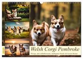 CALVENDO / Kleemann |  Welsh Corgi Pembroke (Wandkalender 2025 DIN A3 quer), CALVENDO Monatskalender | Sonstiges |  Sack Fachmedien