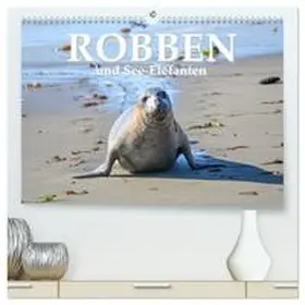 CALVENDO / STYPPA |  Robben und See-Elefanten (hochwertiger Premium Wandkalender 2025 DIN A2 quer), Kunstdruck in Hochglanz | Sonstiges |  Sack Fachmedien
