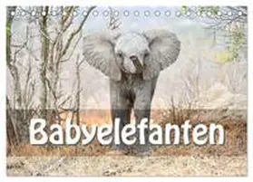 CALVENDO / STYPPA |  Babyelefanten (Tischkalender 2025 DIN A5 quer), CALVENDO Monatskalender | Sonstiges |  Sack Fachmedien
