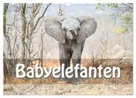 CALVENDO / STYPPA |  Babyelefanten (Wandkalender 2025 DIN A3 quer), CALVENDO Monatskalender | Sonstiges |  Sack Fachmedien