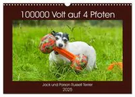 CALVENDO / Starick |  100000 Volt auf vier Pfoten - Jack und Parson Russell Terrier (Wandkalender 2025 DIN A3 quer), CALVENDO Monatskalender | Sonstiges |  Sack Fachmedien