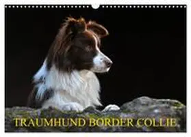 CALVENDO / Starick | Traumhund Border Collie (Wandkalender 2025 DIN A3 quer), CALVENDO Monatskalender | Sonstiges | 978-3-435-25686-0 | www.sack.de
