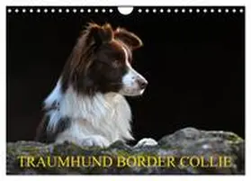 CALVENDO / Starick |  Traumhund Border Collie (Wandkalender 2025 DIN A4 quer), CALVENDO Monatskalender | Sonstiges |  Sack Fachmedien