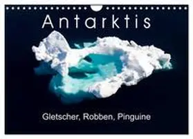 CALVENDO / Gerber |  Antarktis Gletscher, Robben, Pinguine (Wandkalender 2025 DIN A4 quer), CALVENDO Monatskalender | Sonstiges |  Sack Fachmedien