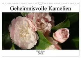 CALVENDO / Kruse |  Geheimnisvolle Kamelien (Wandkalender 2025 DIN A4 quer), CALVENDO Monatskalender | Sonstiges |  Sack Fachmedien