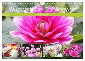 CALVENDO / Kruse |  Wunderbare Dahlienwelt (Wandkalender 2025 DIN A4 quer), CALVENDO Monatskalender | Sonstiges |  Sack Fachmedien