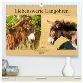 CALVENDO / Bölts |  Liebenswerte Langohren - Die Schönheit der Esel (hochwertiger Premium Wandkalender 2025 DIN A2 quer), Kunstdruck in Hochglanz | Sonstiges |  Sack Fachmedien