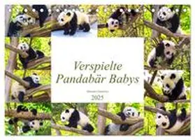 CALVENDO / Gatterwe |  Pandabär Babys (Tischkalender 2025 DIN A5 quer), CALVENDO Monatskalender | Sonstiges |  Sack Fachmedien