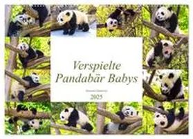 CALVENDO / Gatterwe |  Pandabär Babys (Wandkalender 2025 DIN A2 quer), CALVENDO Monatskalender | Sonstiges |  Sack Fachmedien