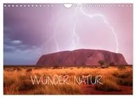 CALVENDO / Schaarschmidt |  Wunder Natur II (Wandkalender 2025 DIN A4 quer), CALVENDO Monatskalender | Sonstiges |  Sack Fachmedien