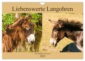 CALVENDO / Bölts |  Liebenswerte Langohren - Die Schönheit der Esel (Wandkalender 2025 DIN A4 quer), CALVENDO Monatskalender | Sonstiges |  Sack Fachmedien
