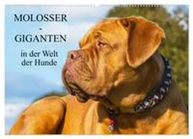 CALVENDO / Starick |  Molosser - Giganten in der Welt der Hunde (Wandkalender 2025 DIN A2 quer), CALVENDO Monatskalender | Sonstiges |  Sack Fachmedien