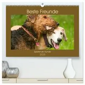 CALVENDO / Bölts |  Beste Freunde - Spielende Hunde (hochwertiger Premium Wandkalender 2025 DIN A2 quer), Kunstdruck in Hochglanz | Sonstiges |  Sack Fachmedien