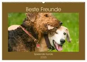 CALVENDO / Bölts |  Beste Freunde - Spielende Hunde (Wandkalender 2025 DIN A2 quer), CALVENDO Monatskalender | Sonstiges |  Sack Fachmedien