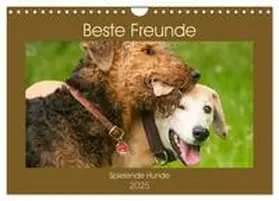 CALVENDO / Bölts |  Beste Freunde - Spielende Hunde (Wandkalender 2025 DIN A4 quer), CALVENDO Monatskalender | Sonstiges |  Sack Fachmedien