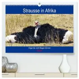 CALVENDO / Fraatz |  Strausse in Afrika (hochwertiger Premium Wandkalender 2025 DIN A2 quer), Kunstdruck in Hochglanz | Sonstiges |  Sack Fachmedien