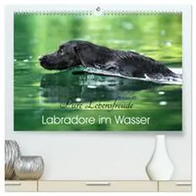 Strunz / CALVENDO |  Labradore im Wasser (hochwertiger Premium Wandkalender 2025 DIN A2 quer), Kunstdruck in Hochglanz | Sonstiges |  Sack Fachmedien