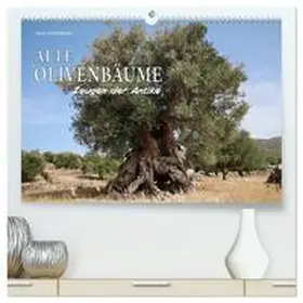 CALVENDO / Schmidbauer |  ALTE OLIVENBÄUME Zeugen der Antike (hochwertiger Premium Wandkalender 2025 DIN A2 quer), Kunstdruck in Hochglanz | Sonstiges |  Sack Fachmedien