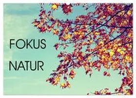 CALVENDO / Neuhof | Focus Natur (Wandkalender 2025 DIN A2 quer), CALVENDO Monatskalender | Sonstiges | 978-3-435-29971-3 | www.sack.de