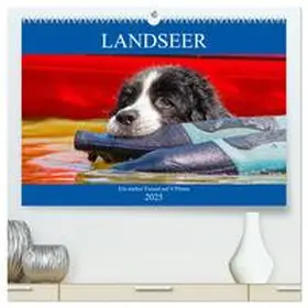 CALVENDO / Starick |  Landseer - Ein starker Freund auf 4 Pfoten (hochwertiger Premium Wandkalender 2025 DIN A2 quer), Kunstdruck in Hochglanz | Sonstiges |  Sack Fachmedien