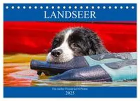 CALVENDO / Starick |  Landseer - Ein starker Freund auf 4 Pfoten (Tischkalender 2025 DIN A5 quer), CALVENDO Monatskalender | Sonstiges |  Sack Fachmedien
