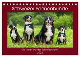 CALVENDO / Starick |  Schweizer Sennenhunde - die Hunde aus den Schweizer Alpen (Tischkalender 2025 DIN A5 quer), CALVENDO Monatskalender | Sonstiges |  Sack Fachmedien