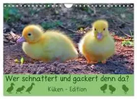 CALVENDO / Löwer |  Wer schnattert und gackert denn da? - Küken-Edition (Wandkalender 2025 DIN A4 quer), CALVENDO Monatskalender | Sonstiges |  Sack Fachmedien