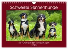 CALVENDO / Starick |  Schweizer Sennenhunde - die Hunde aus den Schweizer Alpen (Wandkalender 2025 DIN A4 quer), CALVENDO Monatskalender | Sonstiges |  Sack Fachmedien