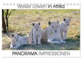 CALVENDO / Fraatz |  Weiße Löwen in Afrika PANORAMA IMPRESSIONEN (Tischkalender 2025 DIN A5 quer), CALVENDO Monatskalender | Sonstiges |  Sack Fachmedien