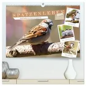 CALVENDO / Löwer |  Gefiederte Gartengäste, Spatzenleben (hochwertiger Premium Wandkalender 2025 DIN A2 quer), Kunstdruck in Hochglanz | Sonstiges |  Sack Fachmedien