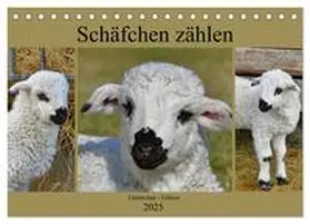 CALVENDO / Löwer |  Schäfchen zählen - Lämmchen-Edition (Tischkalender 2025 DIN A5 quer), CALVENDO Monatskalender | Sonstiges |  Sack Fachmedien
