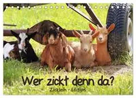 CALVENDO / Löwer |  Wer zickt denn da? - Zicklein-Edition (Tischkalender 2025 DIN A5 quer), CALVENDO Monatskalender | Sonstiges |  Sack Fachmedien