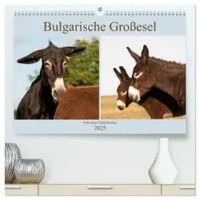 CALVENDO / Bölts |  Bulgarische Großesel - Schwarze Schönheiten (hochwertiger Premium Wandkalender 2025 DIN A2 quer), Kunstdruck in Hochglanz | Sonstiges |  Sack Fachmedien