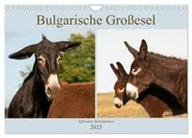 CALVENDO / Bölts |  Bulgarische Großesel - Schwarze Schönheiten (Wandkalender 2025 DIN A4 quer), CALVENDO Monatskalender | Sonstiges |  Sack Fachmedien