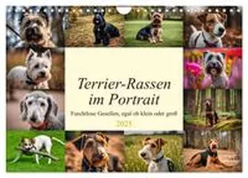 CALVENDO / Kleemann |  Terrier-Rassen im Portrait (Wandkalender 2025 DIN A4 quer), CALVENDO Monatskalender | Sonstiges |  Sack Fachmedien