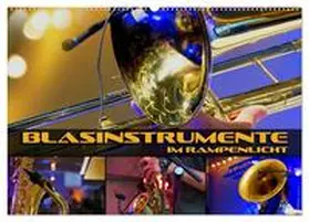 CALVENDO / Bleicher | Blasinstrumente im Rampenlicht (Wandkalender 2025 DIN A2 quer), CALVENDO Monatskalender | Sonstiges | 978-3-435-34816-9 | www.sack.de