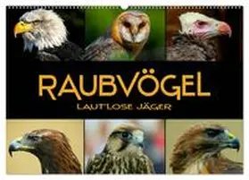 CALVENDO / Bleicher |  Raubvögel - lautlose Jäger (Wandkalender 2025 DIN A2 quer), CALVENDO Monatskalender | Sonstiges |  Sack Fachmedien