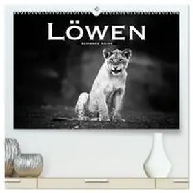 CALVENDO / Styppa |  Löwen schwarz weiß (hochwertiger Premium Wandkalender 2025 DIN A2 quer), Kunstdruck in Hochglanz | Sonstiges |  Sack Fachmedien