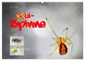 CALVENDO / Schmidbauer |  ui - Spinne. Kleine Spinnen - groß im Bild (Wandkalender 2025 DIN A2 quer), CALVENDO Monatskalender | Sonstiges |  Sack Fachmedien