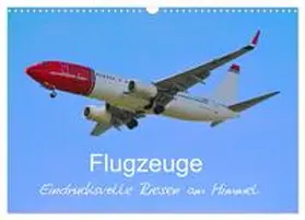 CALVENDO / Merz |  Flugzeuge - Eindrucksvolle Riesen am Himmel (Wandkalender 2025 DIN A3 quer), CALVENDO Monatskalender | Sonstiges |  Sack Fachmedien
