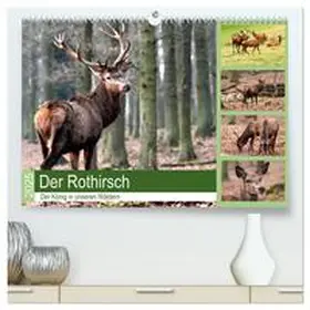 CALVENDO / Klatt | Der Rothirsch - Der König in unseren Wäldern (hochwertiger Premium Wandkalender 2025 DIN A2 quer), Kunstdruck in Hochglanz | Sonstiges | 978-3-435-37129-7 | www.sack.de