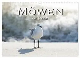 CALVENDO / Styppa |  Möwen am Meer (Wandkalender 2025 DIN A3 quer), CALVENDO Monatskalender | Sonstiges |  Sack Fachmedien