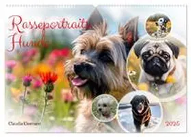CALVENDO / Kleemann |  Rasseportraits - Hunde (Wandkalender 2025 DIN A2 quer), CALVENDO Monatskalender | Sonstiges |  Sack Fachmedien