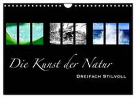 CALVENDO / Busse |  Die Kunst der Natur - Dreifach Stilvoll (Wandkalender 2025 DIN A4 quer), CALVENDO Monatskalender | Sonstiges |  Sack Fachmedien