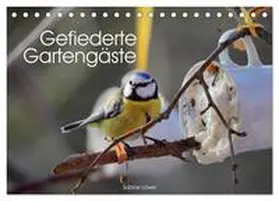 CALVENDO / Löwer |  Gefiederte Gartengäste (Tischkalender 2025 DIN A5 quer), CALVENDO Monatskalender | Sonstiges |  Sack Fachmedien