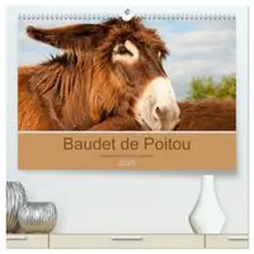 CALVENDO / Bölts |  Baudet de Poitou - Seltene französische Langohren (hochwertiger Premium Wandkalender 2025 DIN A2 quer), Kunstdruck in Hochglanz | Sonstiges |  Sack Fachmedien