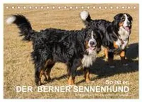 CALVENDO / Hunscheidt |  So ist er. Der Berner Sennenhund (Tischkalender 2025 DIN A5 quer), CALVENDO Monatskalender | Sonstiges |  Sack Fachmedien