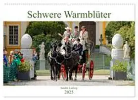 CALVENDO / Ludwig |  Schwere Warmblüter 2025 (Wandkalender 2025 DIN A2 quer), CALVENDO Monatskalender | Sonstiges |  Sack Fachmedien
